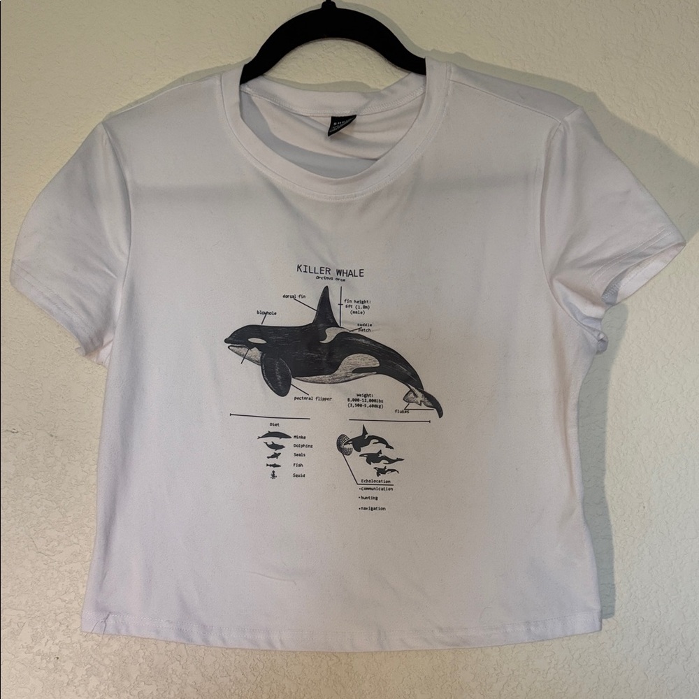 SHEIN White Crewneck Tee